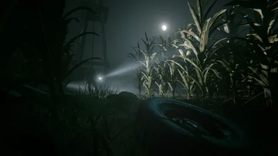 Outlast 2 (Steam, PC)