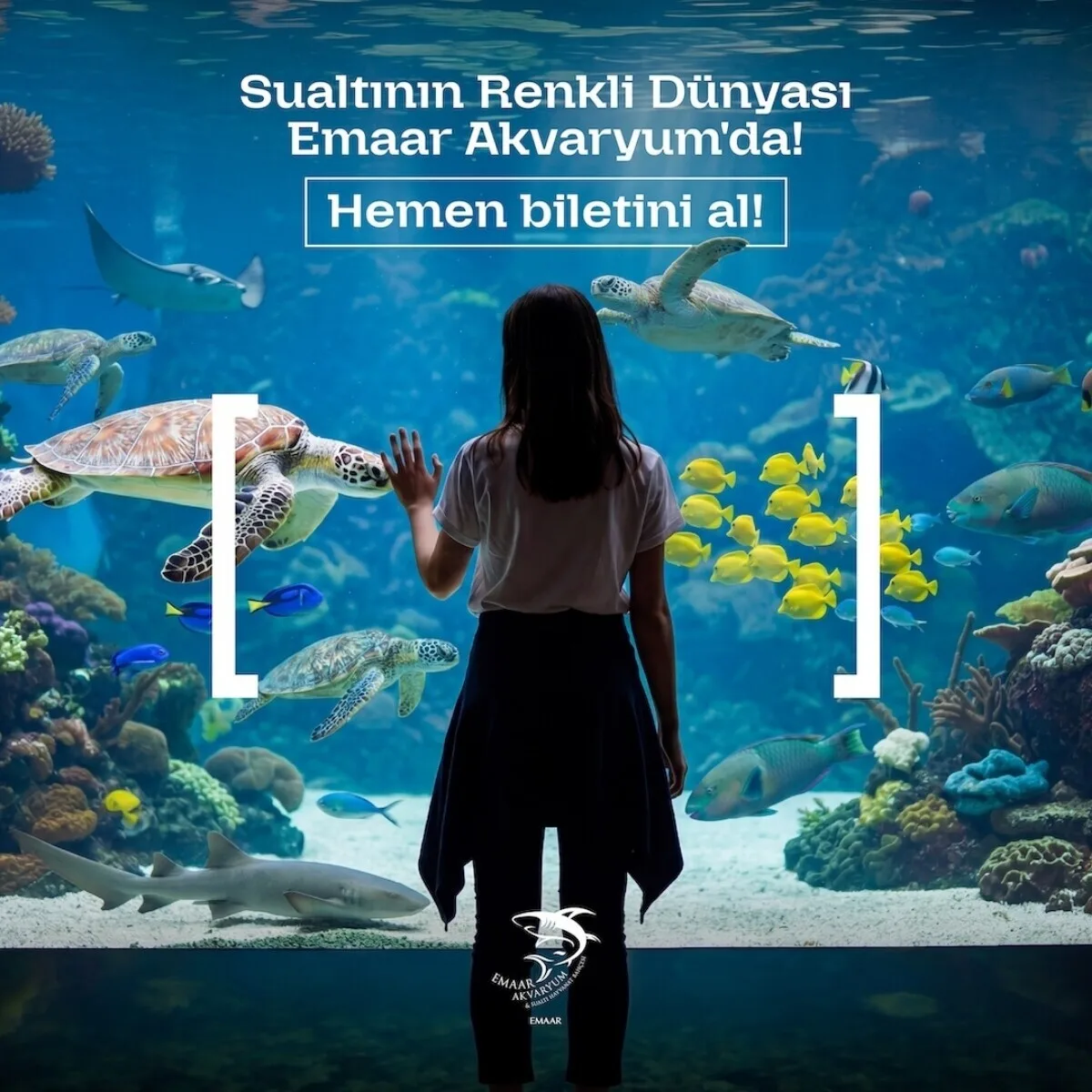 Emaar Akvaryum Giriş Bileti 709 TL (Üsküdar, İstanbul)