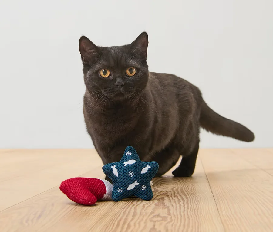 Tchibo Kedi Oyuncağı 2'li Kedi Otlu Hışırtılı Bot ve Yıldız