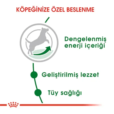Royal Canin Mini Adult Küçük Irk Yetişkin Köpek Maması 8 kg
