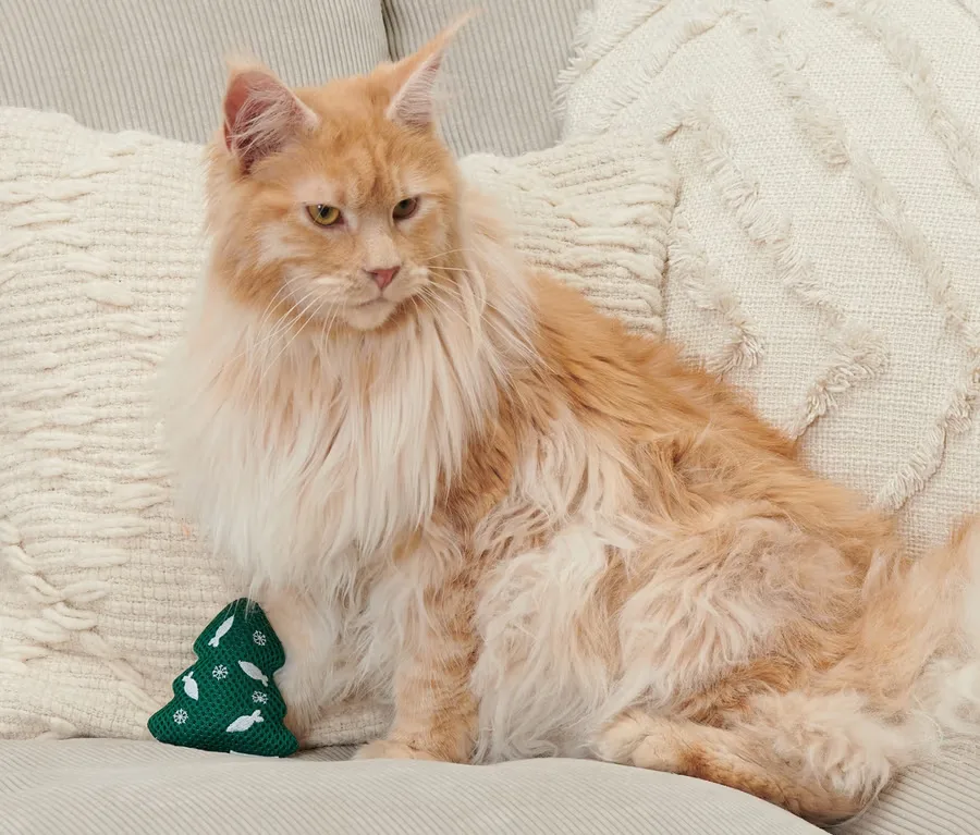 Tchibo Kedi Oyuncağı 2'li Set (Kedi Nanesi Dolgulu, Yılbaşı Temalı)